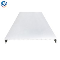 Chip Heat Dissipation Aluminium Profile Chip Heat Dissipation Aluminium Profile